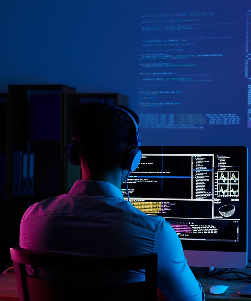 Web Development