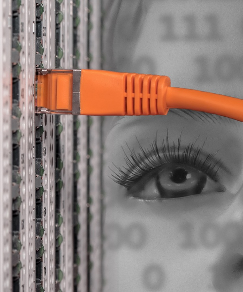 Network Services
