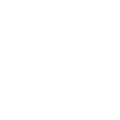 WordPress icon